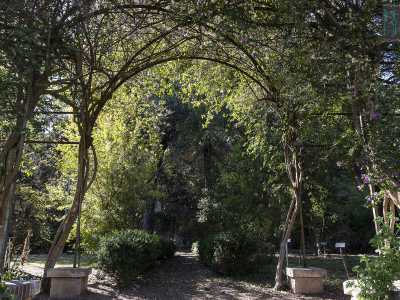 Il grazioso museo orto botanico: raccoglie duemila diversi esemplari di vegetali suddivisi tra un boschetto, uno stagno e una roccaglia